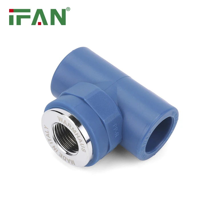 24 24